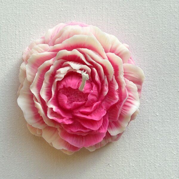 Pink & White peony - soy wax candle