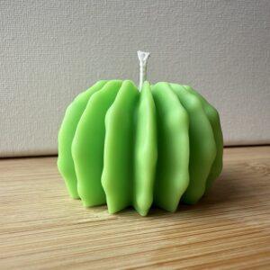 Cactino – Mini Cactus Candle for Gifts