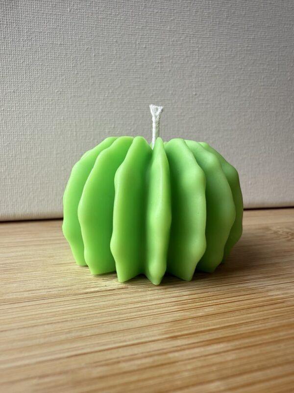 Cactino – Mini Cactus Candle for Gifts