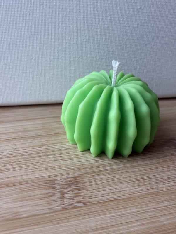 Cactino – Mini Cactus Candle for Gifts - Image 3