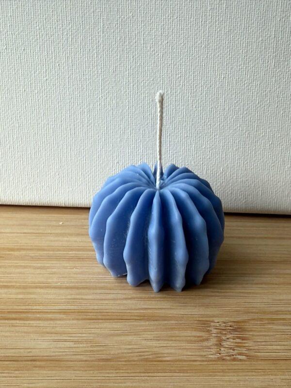 Cactino – Mini Cactus Candle for Gifts - Image 5